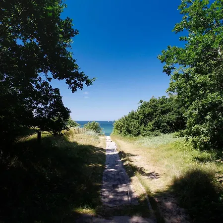 Womo Stellplatz Am Bernstein * Dranske