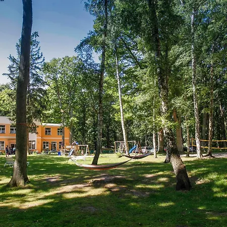 Womo Stellplatz Am Bernstein