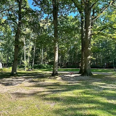 Womo Stellplatz Am Bernstein * Dranske